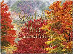 Team Thanks H2983U-AA